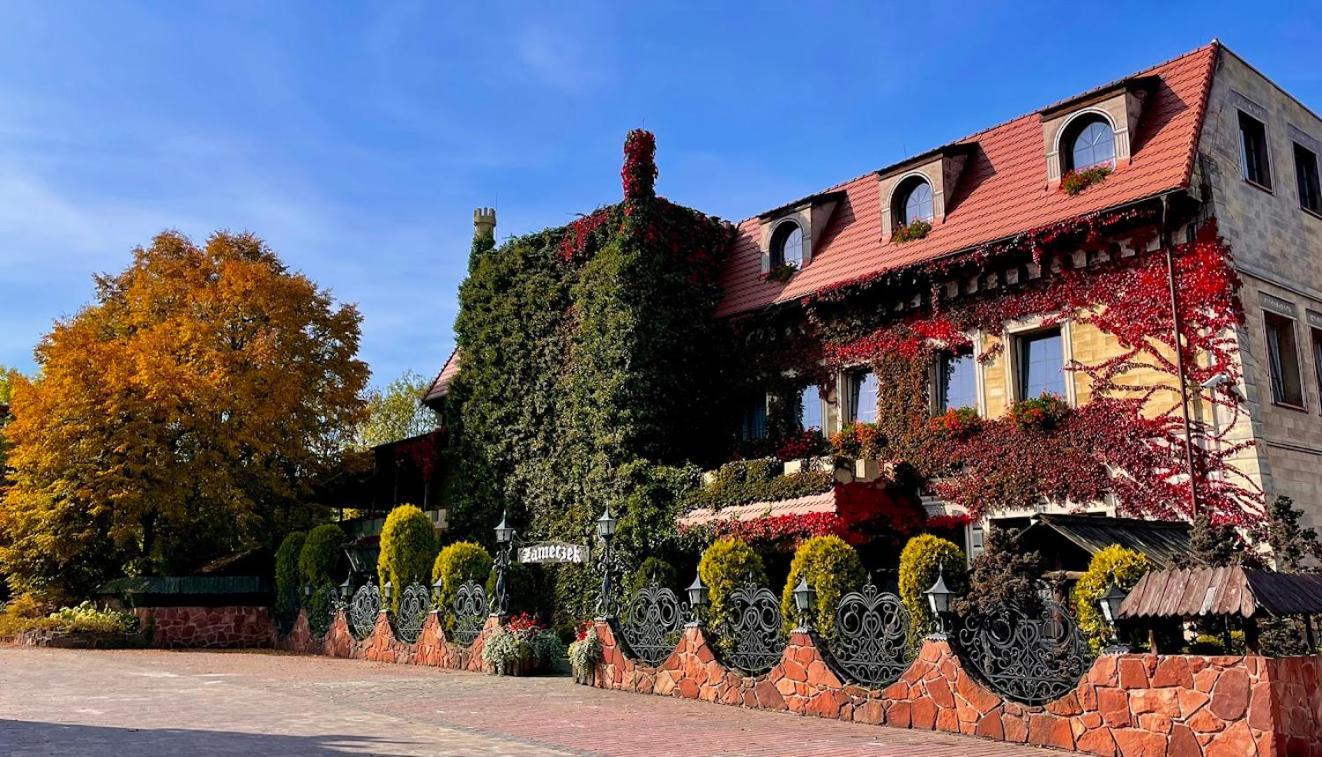 Hotel Zameczek Ksiaz Wielki Exterior photo